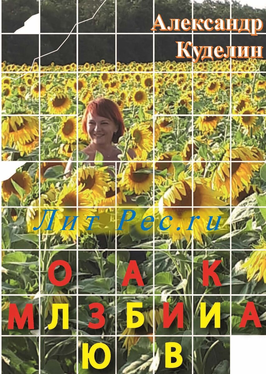 Обложка книги