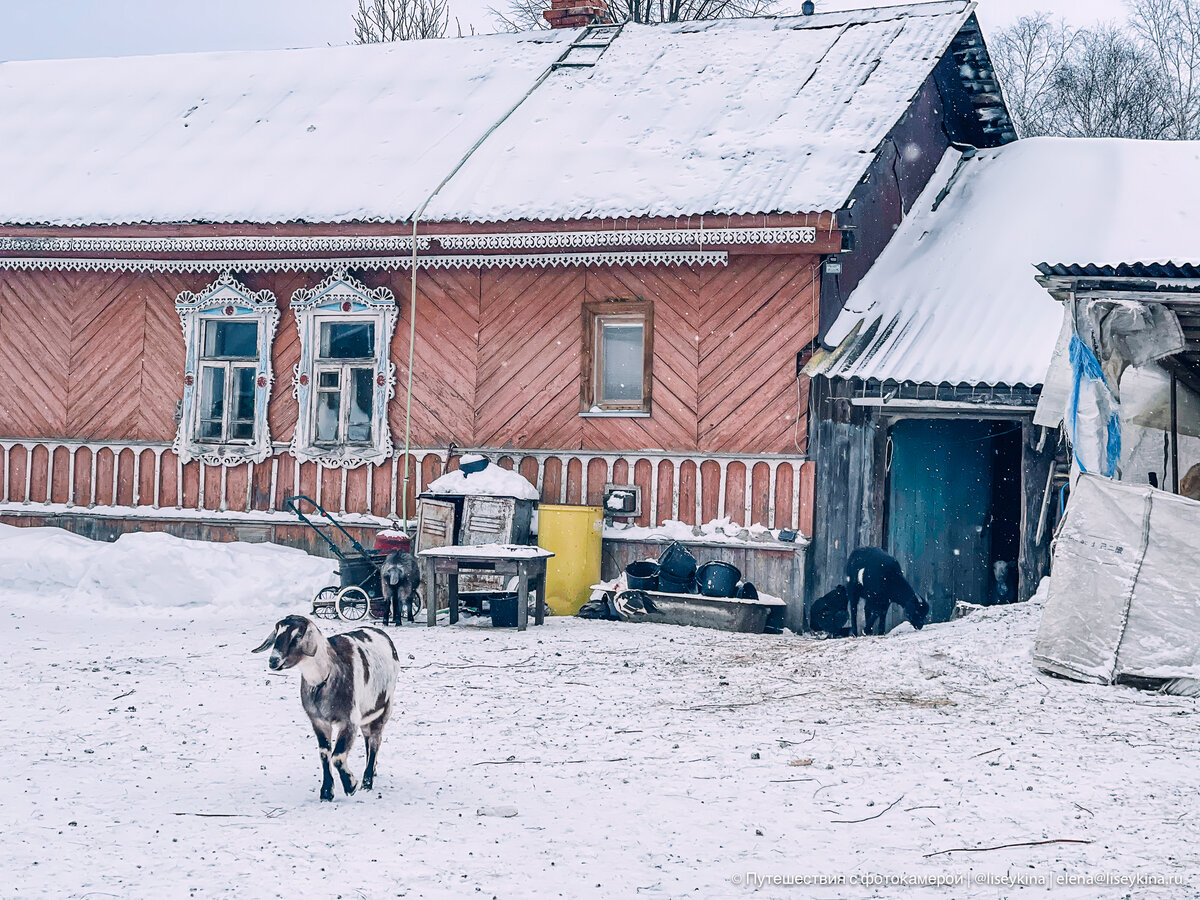 Белый тлен, заброшенные храмы и пустые дома. Как сейчас выглядят деревни на  границе Московской и Тверской областей | Путешествия с фотокамерой | Дзен