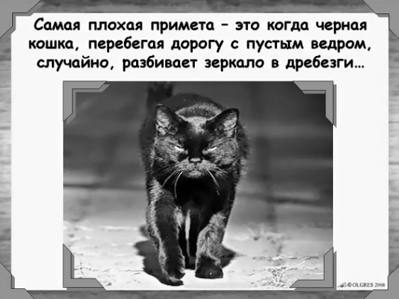 Значение, которое несет собой появление чёрной кошки в жизни: поверь в знаки!
