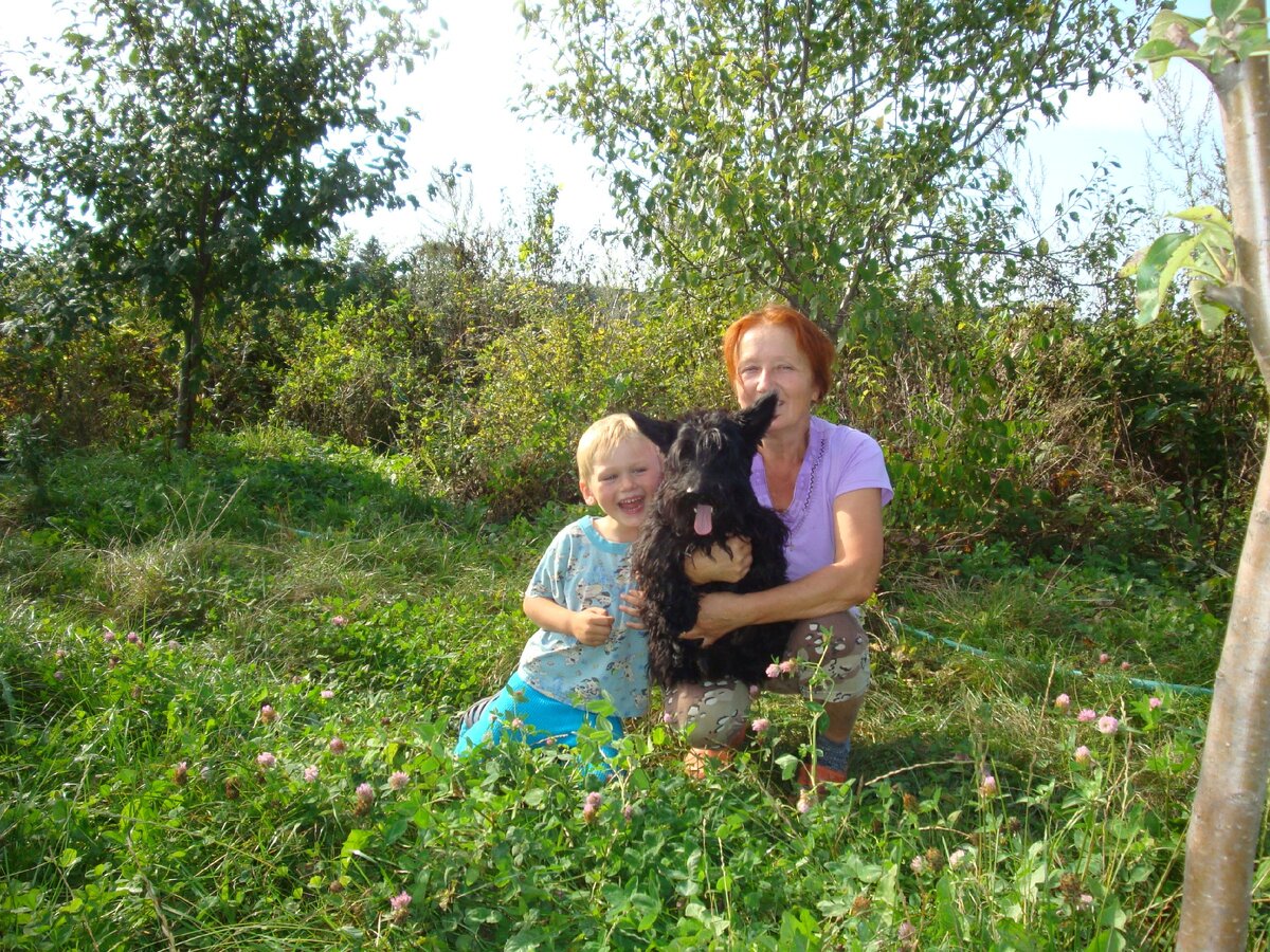 В моем саду...