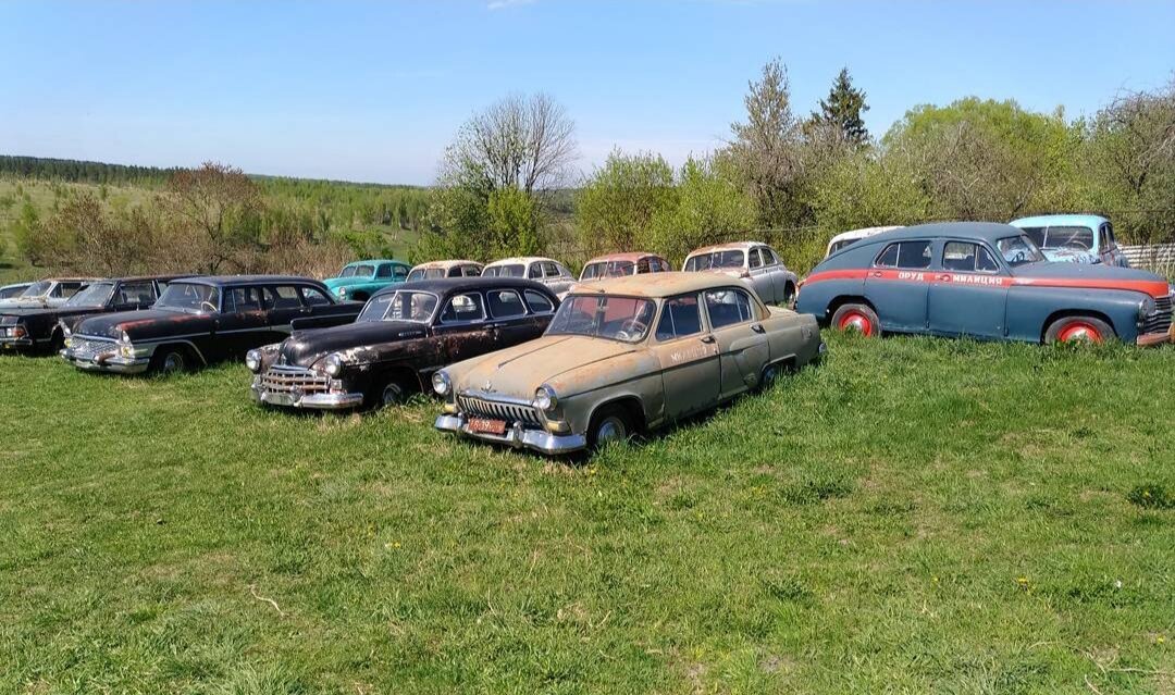 Фото автора. Самые ценные машины, по словам хозяина. 