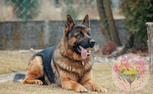 По материалам https://pikabu.ru