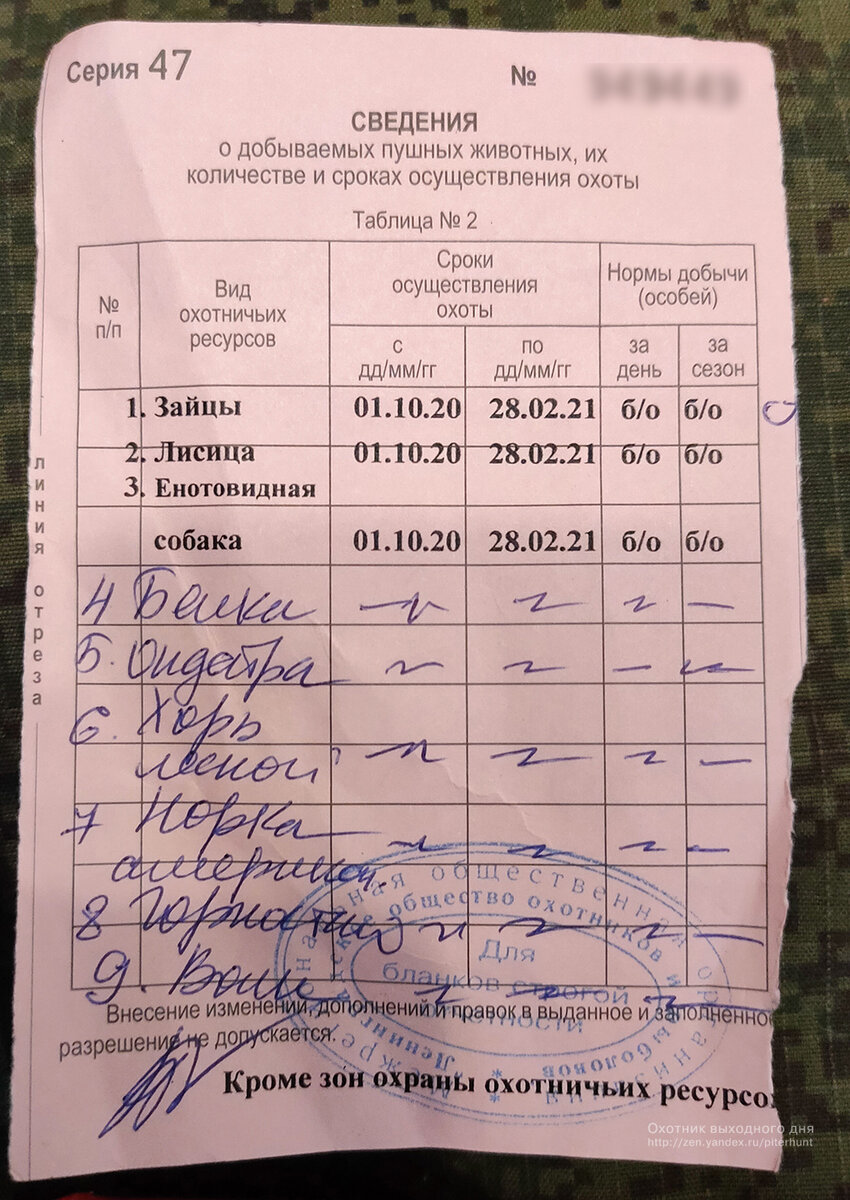 Сдать разрешение на охоту. Разрешение на добычу охотничьих ресурсов. Путевка на добычу охотничьих ресурсов. Лицензия на добычу охотничьих ресурсов. Оборотная сторона разрешения на добычу пушных.