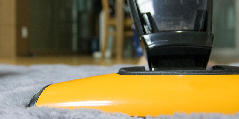 Изображение hojun Kang с сайта Pixabay, Pixabay License