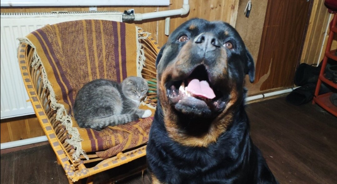 Дюша и Шуня 