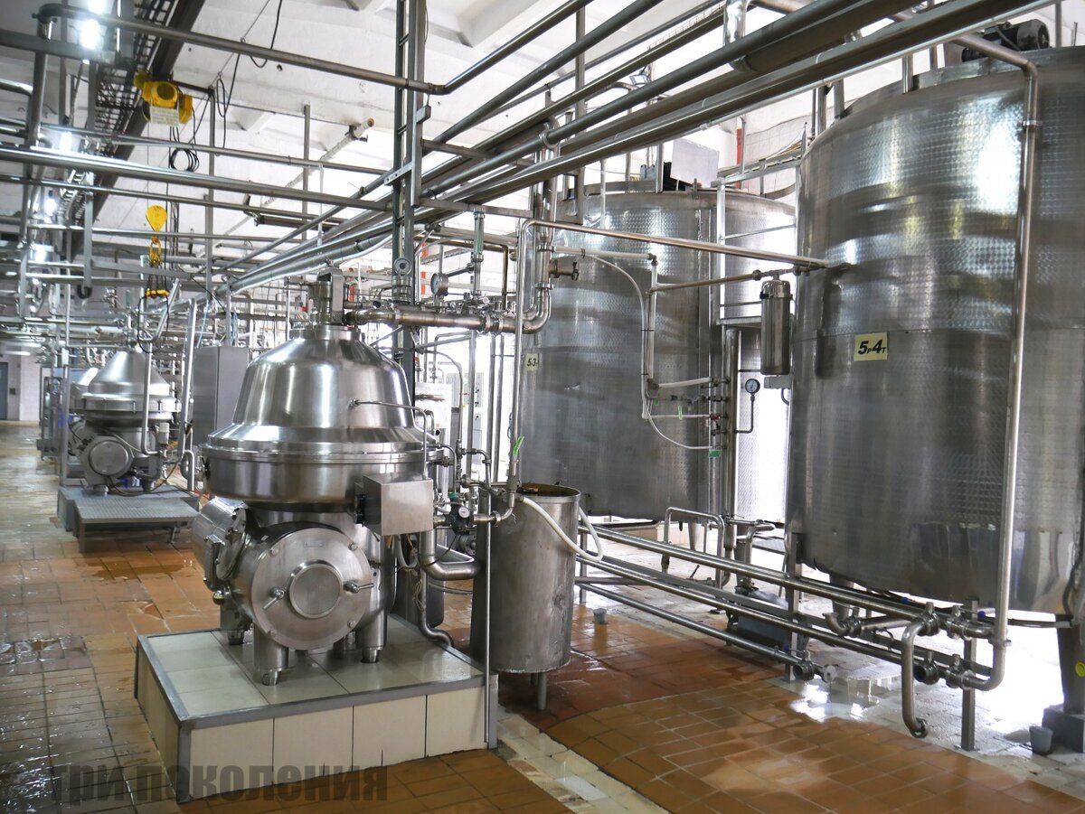 Почему современное молоко не киснет? Побывала на молочном заводе и ...