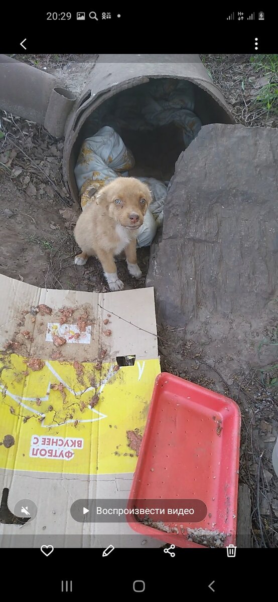 Кадр с видео