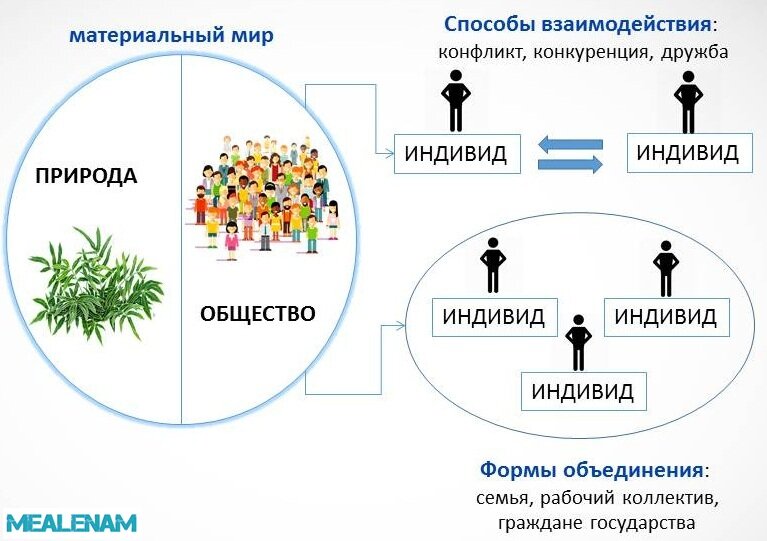 Виды знаний — что это, определение и ответ