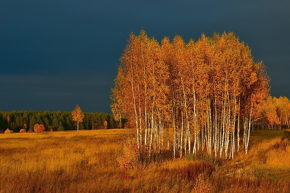 Источник: Yandex.ru