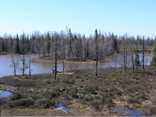 Фото не оттуда. Так, для оформления.