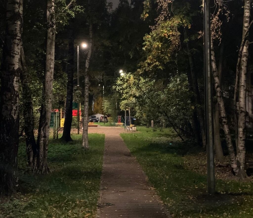 фото: https://gorod-plus.tv/news/93525