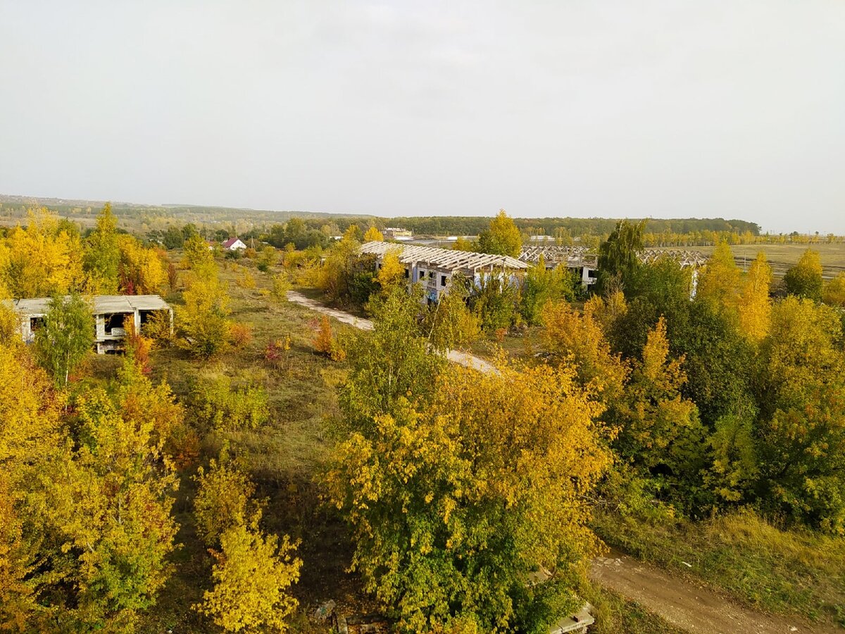 Заброшенный город постепенно зарастает, фото из личного архива