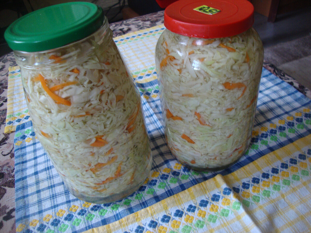 капуста 