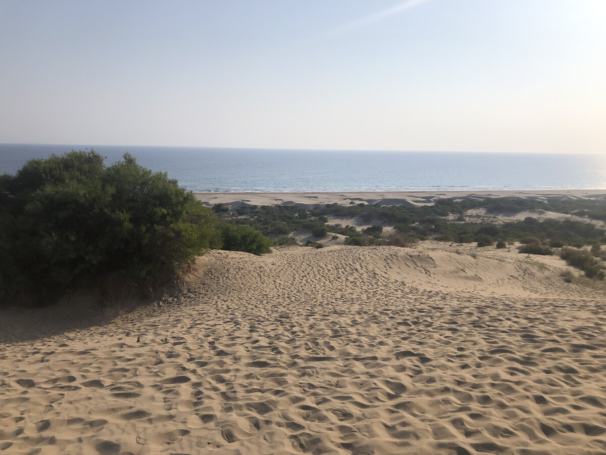 Море и пляж с высоты патарских дюн.