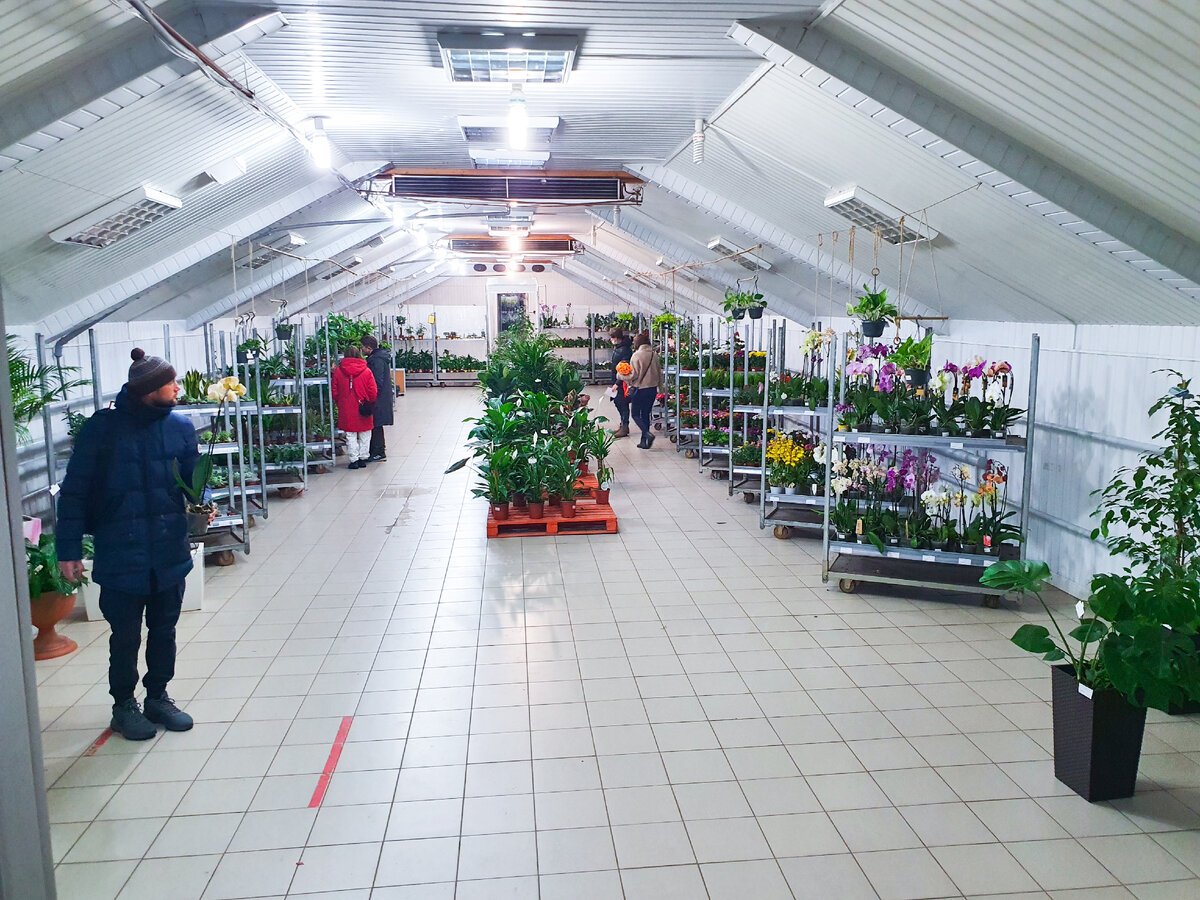 Большой зал с хорошим ассортиментом