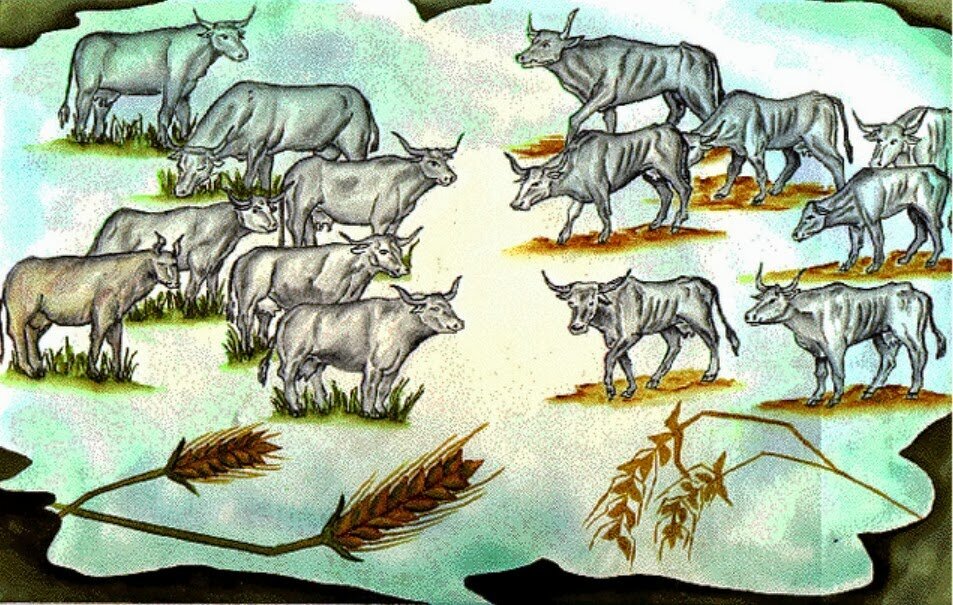 Яндекс.картинки