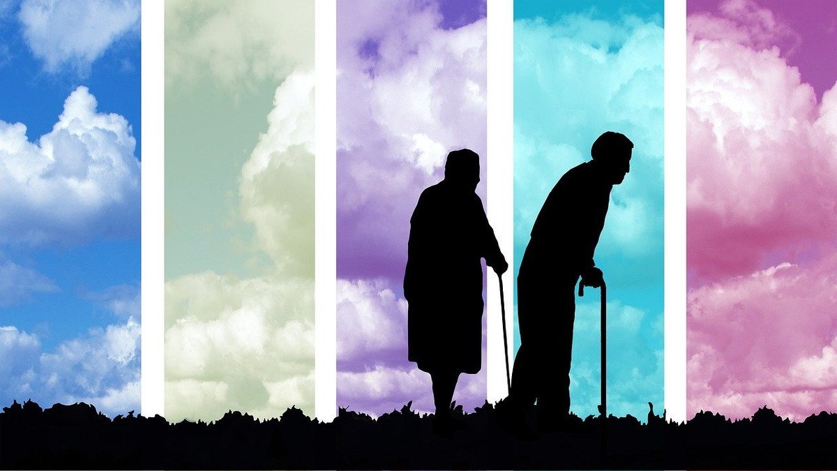 Фото: Pixabay