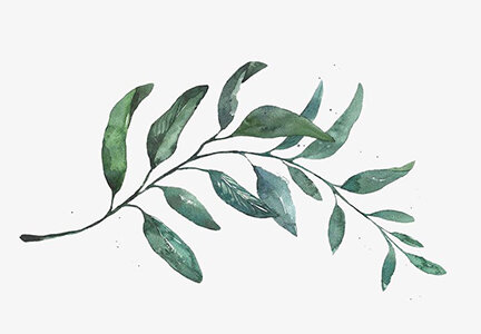 Изображение Gringo's Store