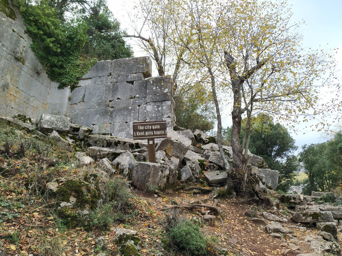 Добавьте описание