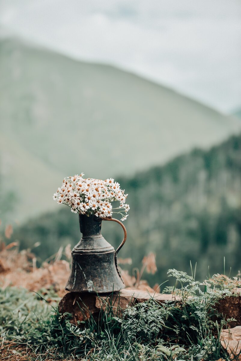 Фото автора Ali Şenol: Pexels