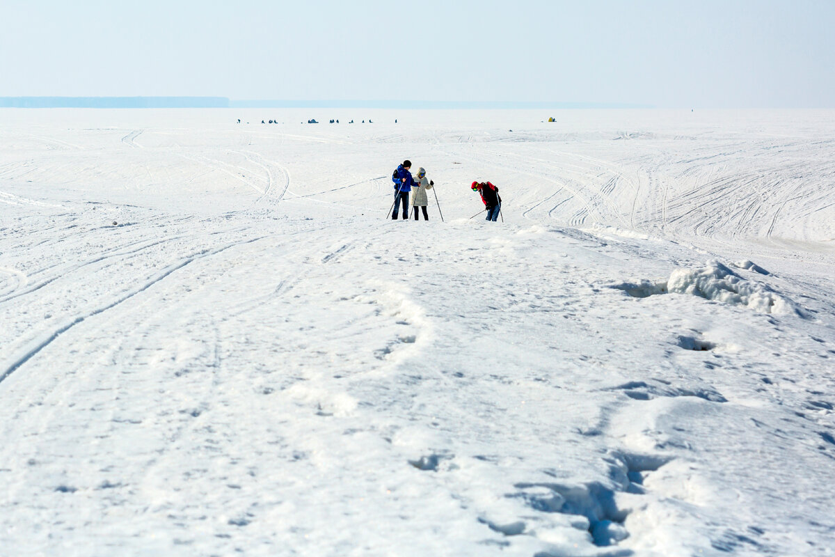 Гуменка бердск карта