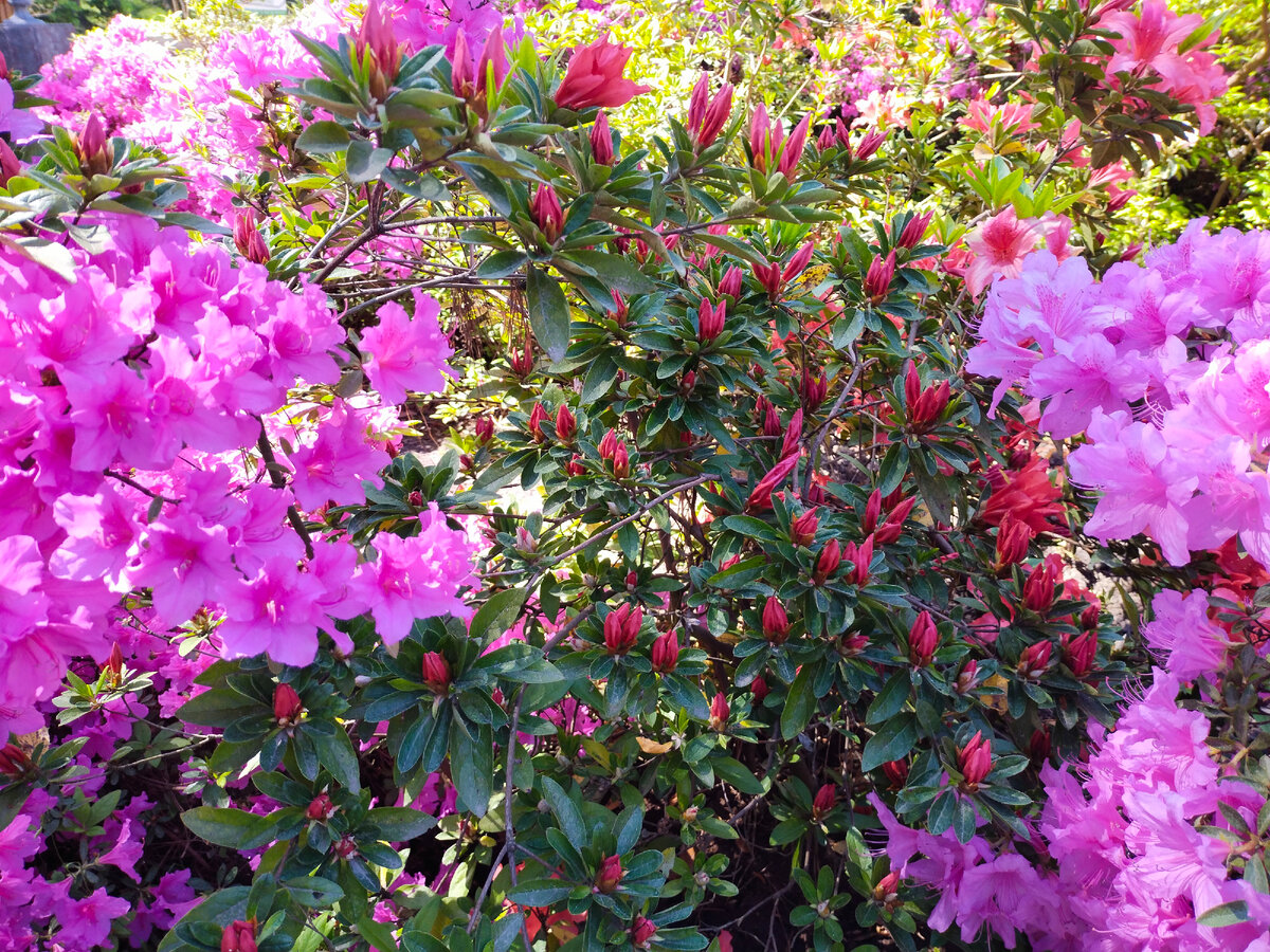 Фото автора канала