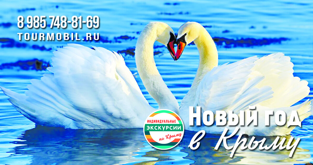 Лебеди в Евпатории