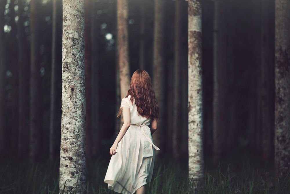 Взято из открытого источника