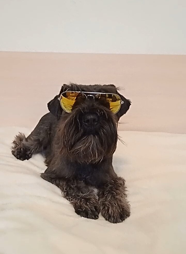 В них он такой  крутой😎!!! 