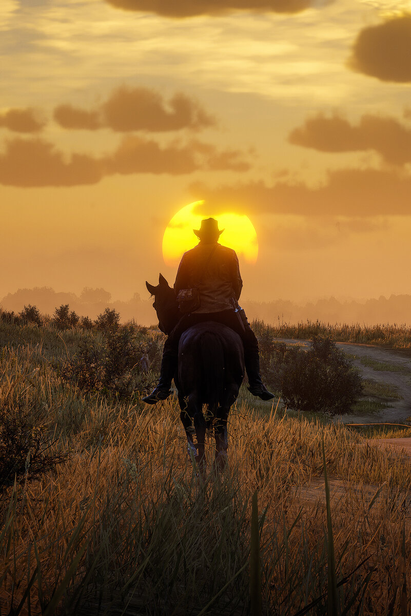 Фото взято из интернета, в свободном доступе