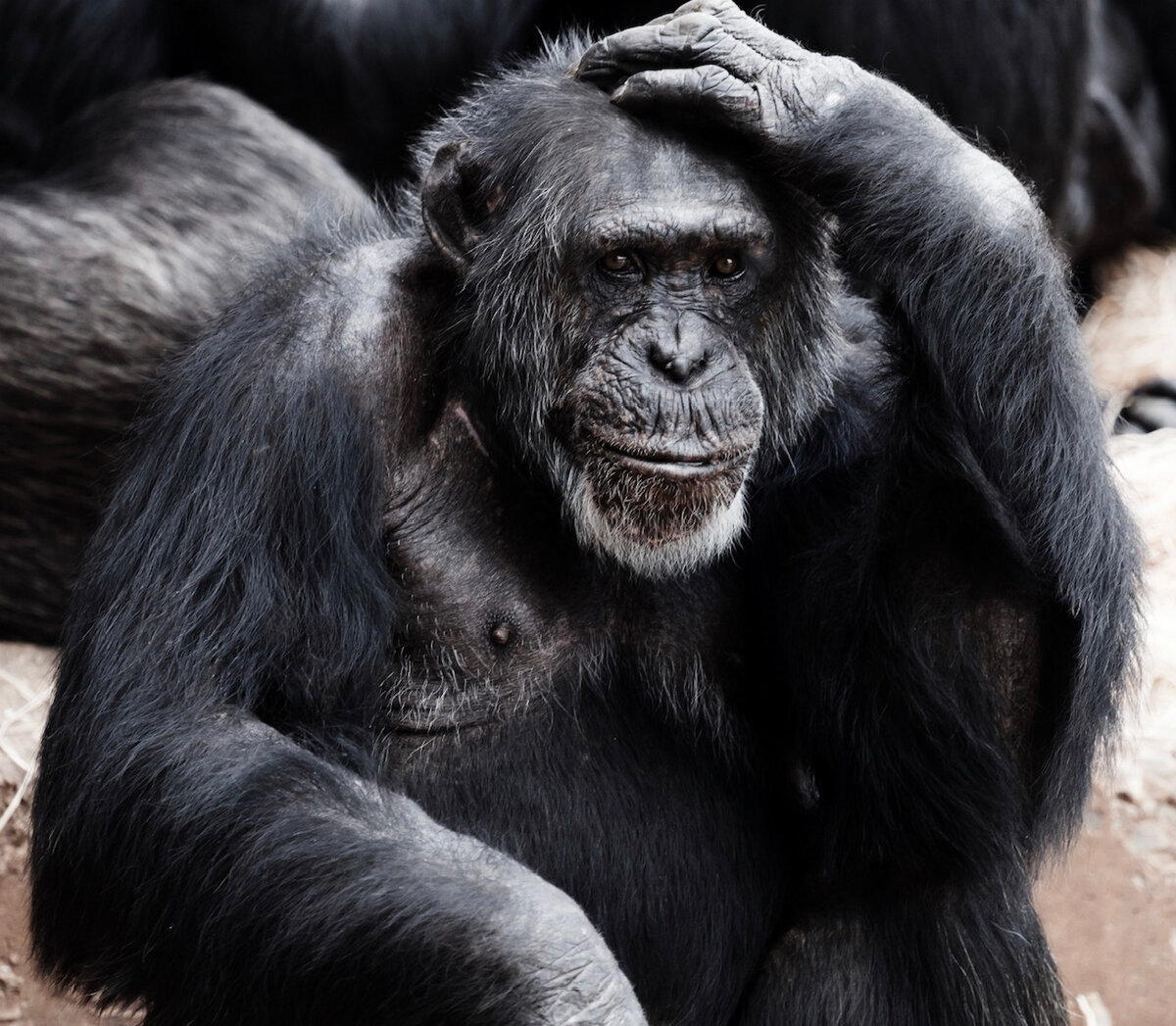 Источник unsplash.com