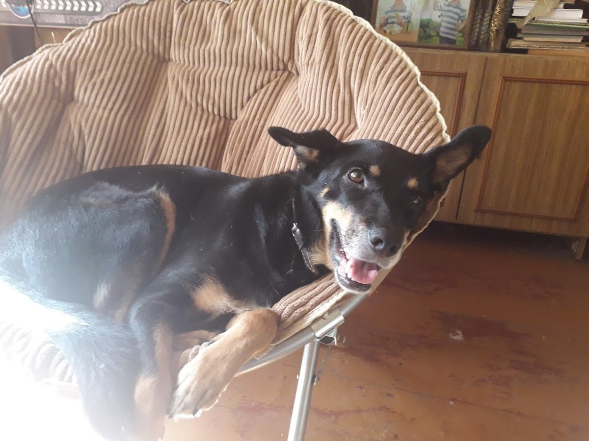 Красотка в доме на Белгородчине