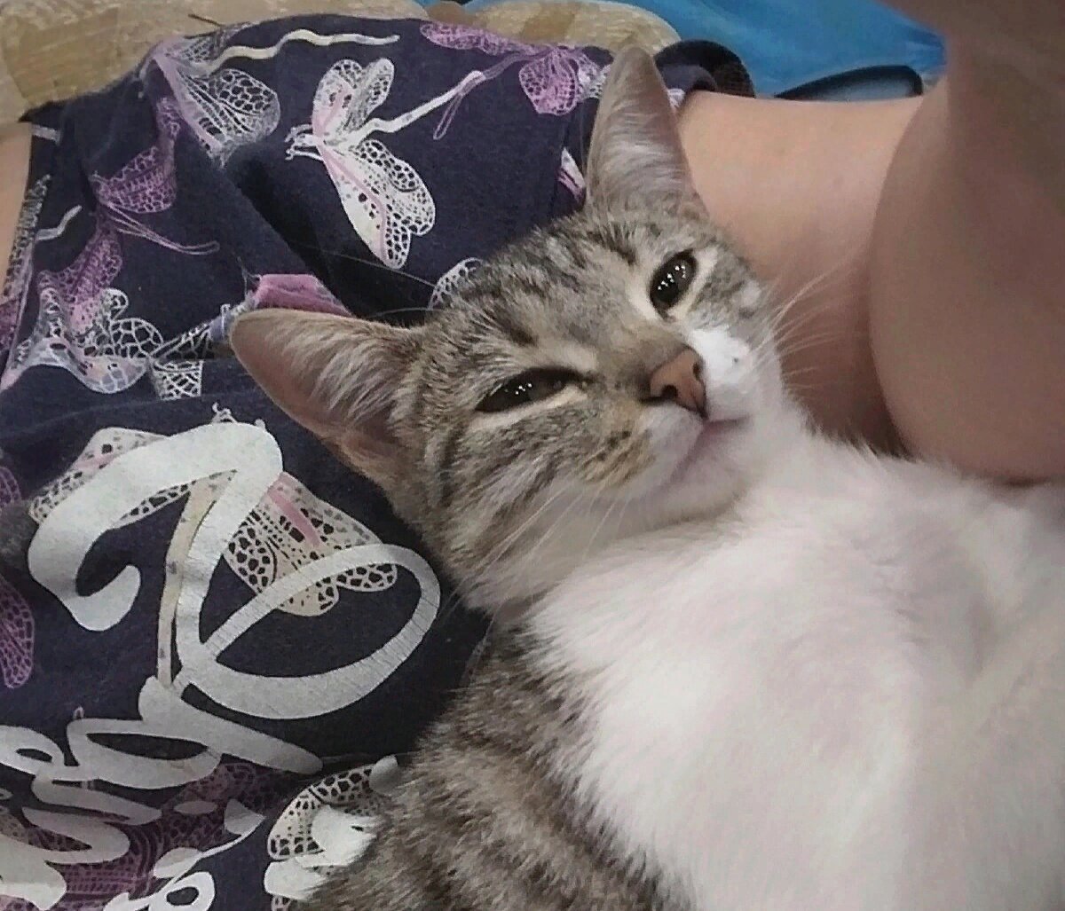 Стешенька знает: с мамой тепло и спокойно. И маме Тане уютно.