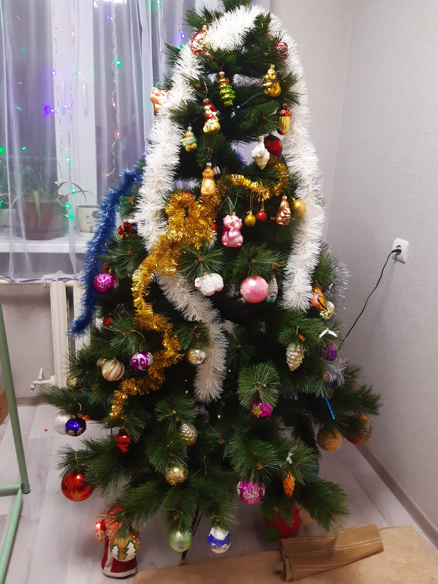 Наша ёлочка. 