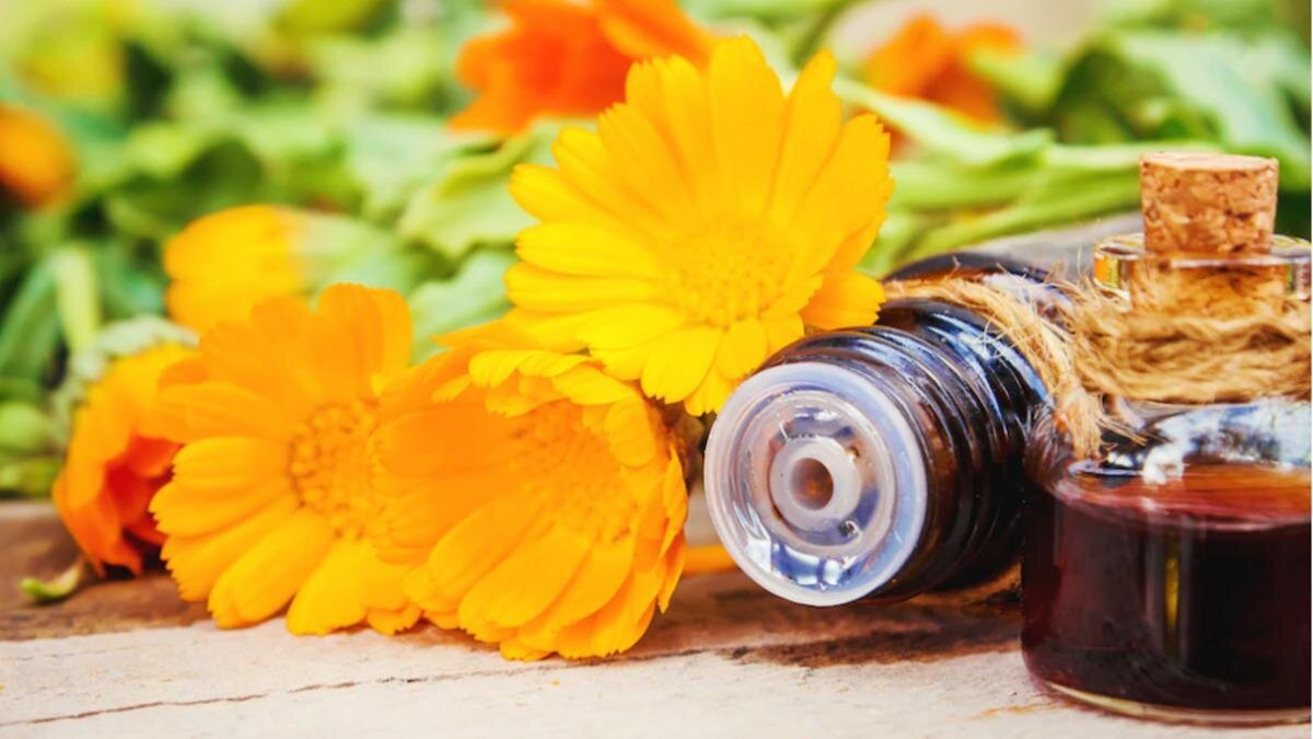    Календула и настойка в баночке:Freepik