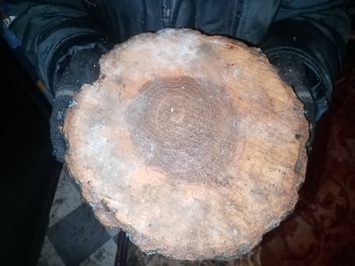 Мозги - вот, Что это дерево) Заметьте - порог грязный