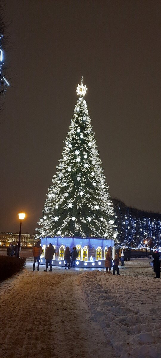 Ёлка на Стрелке Васильевского острова