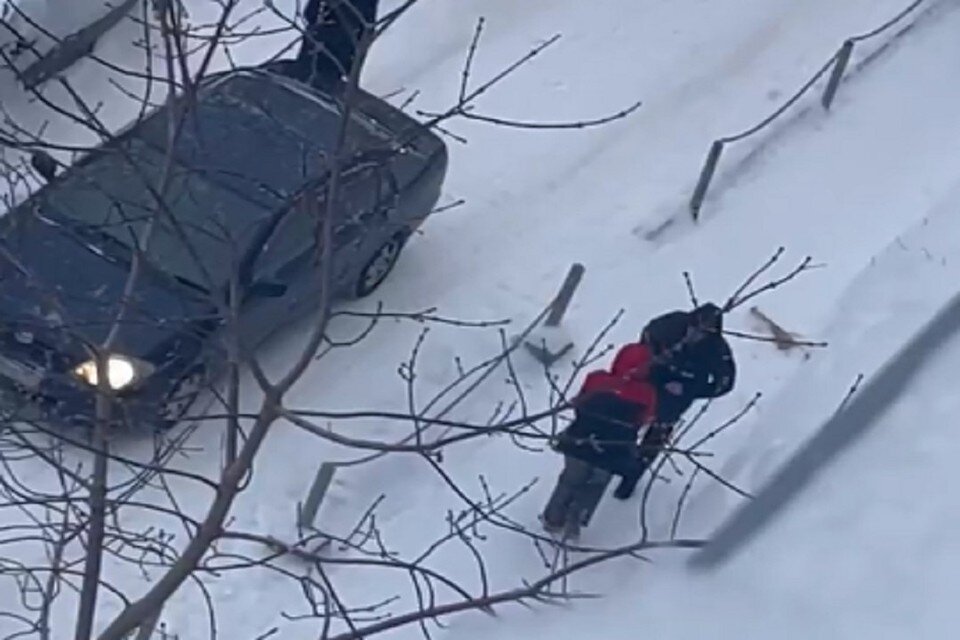     Жительница Новосибирска затеяла драку с водителем, объезжавшим пробку по двору. Фото: "АСТ-54".