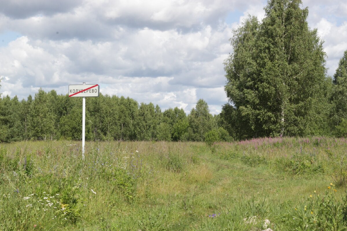 Город рядом с деревней. Лес рядом с деревней. Деревня Хвалово. Деревня Дюрбениха.