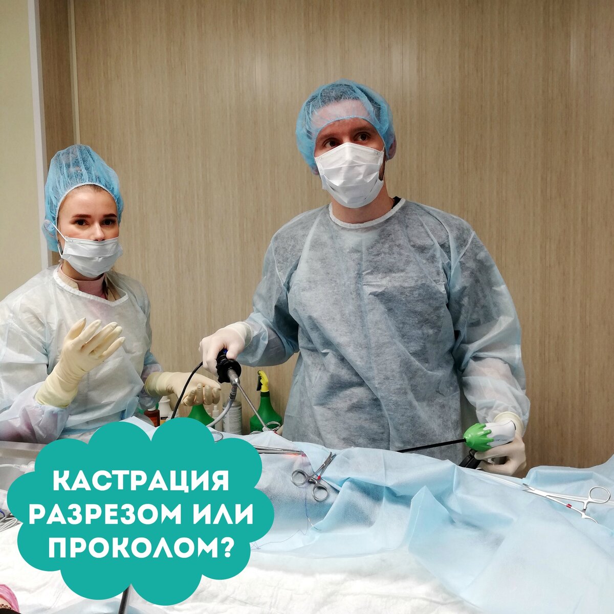 Показания для кастрации