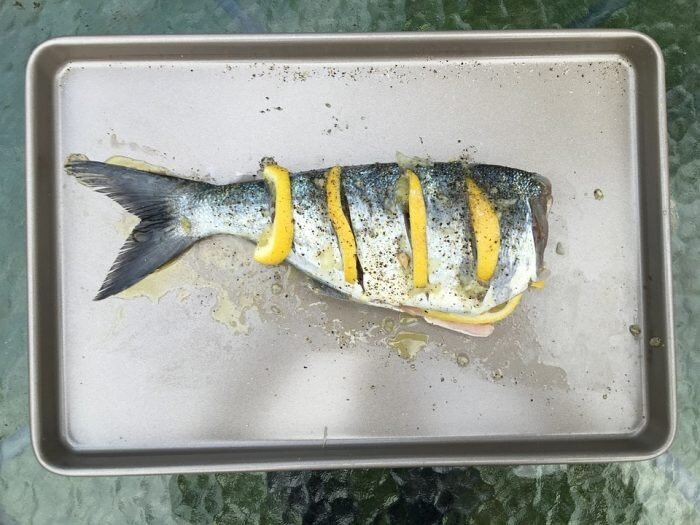 5 правил приготовления рыбы на мангале, чтобы она получилась сочной и не прилипла к решетке
