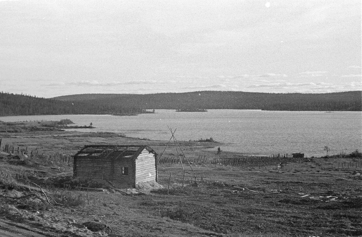 Фотография взята из открытых источников 