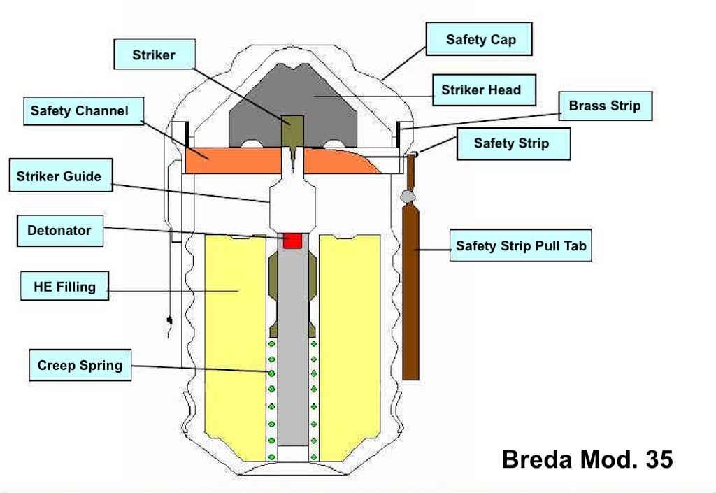 Граната Бреда, аналогичного типа, в разрезе. Источник: comandosupremo.com