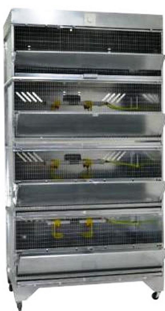 Фото с сайта https://www.crazyferma.ru/