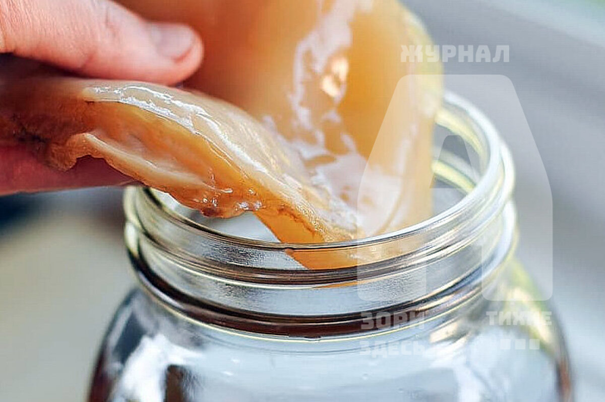 Решили сфотографировать наш грибок под другим ракурсом. 