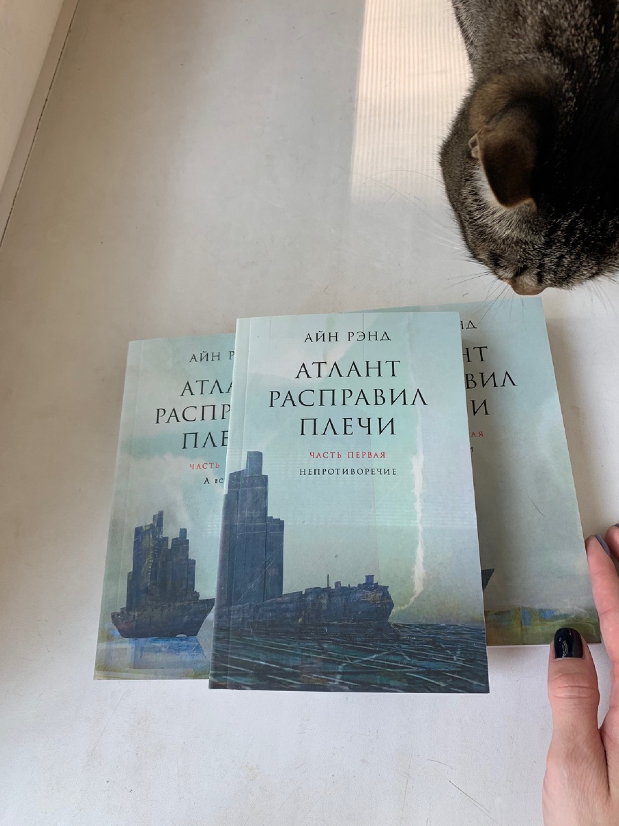Очень любопытный кот. Всегда радуется новому. 