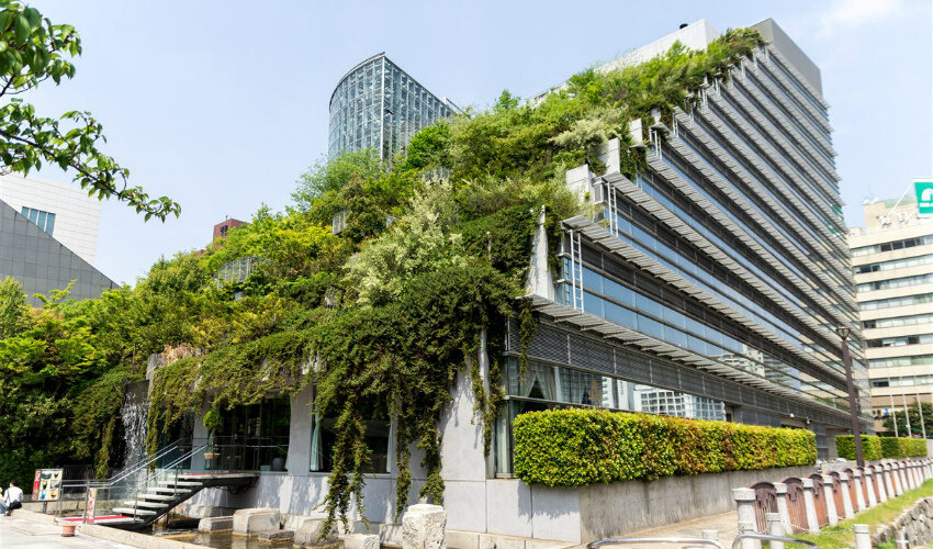 Все фотографии из свободных источников