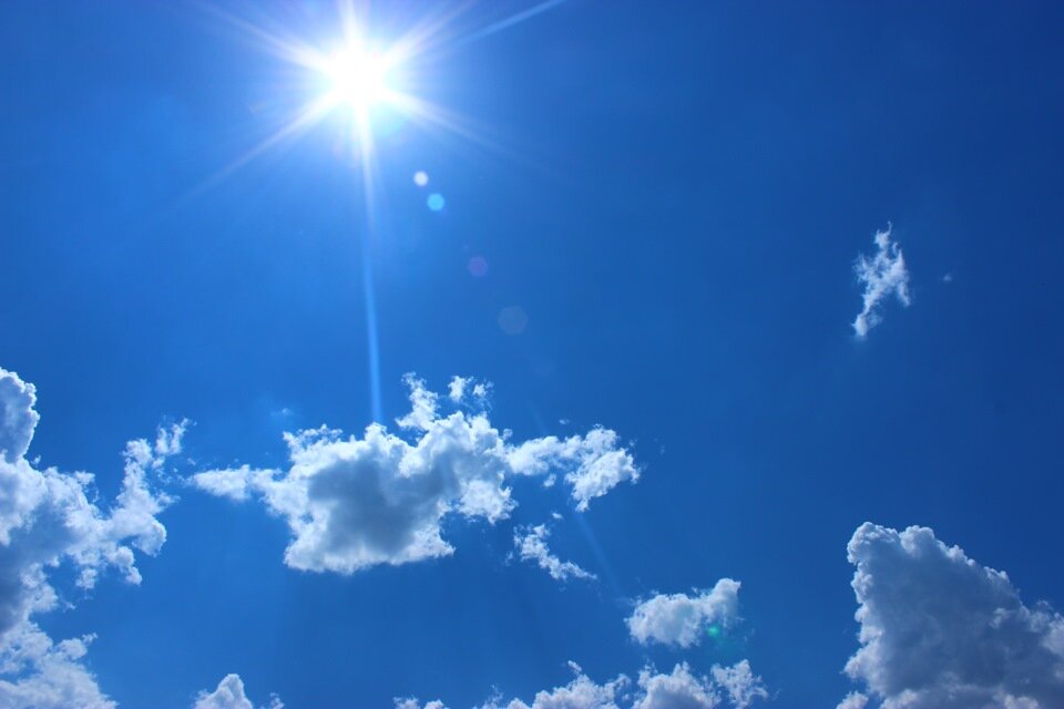 из открытых источников