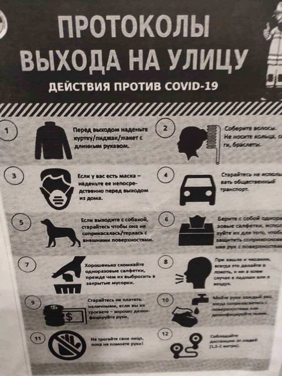 Военные истребители в небе, полицейские громкоговорители на дорогах и утки  в московских дворах. Чем живет город сегодня? | Московские хроники | Дзен