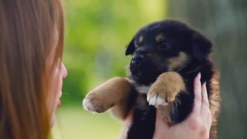 Как хорошо все начиналось...